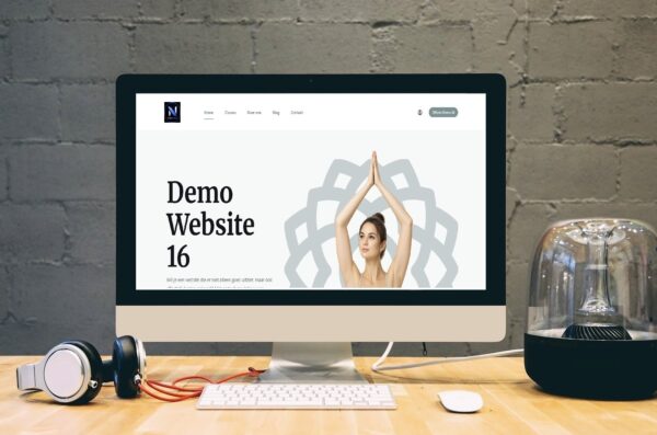 Demo Website 16